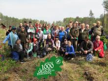 1000 drzew na minutę w Nadleśnictwie Rudka