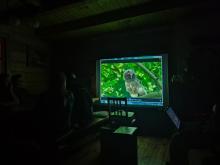 Co w lesie huczy?”